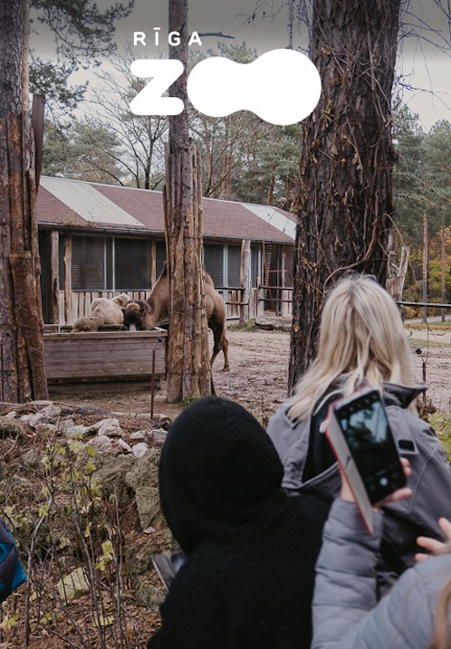 Pirkt biļetes Ekskursija Rīga ZOO slavenībām pa pēdām Rīga, Rīgas Zooloģiskais dārzs Oktobris 14 - Aprīlis 30