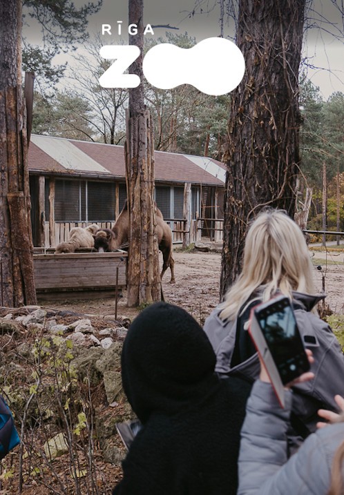 Pirkt biļetes Ekskursija Rīga ZOO slavenībām pa pēdām Rīga, Rīgas Zooloģiskais dārzs Maijs 07 - Decembris 31