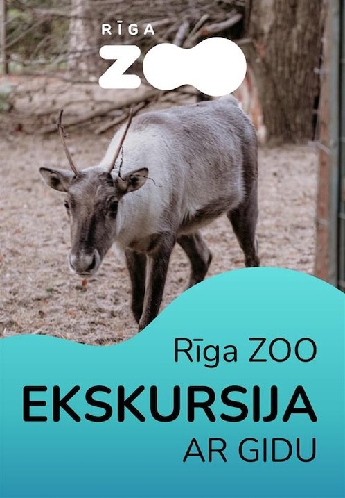 Pirkt biļetes Rīga ZOO ekskursija ar gidu Rīga, Rīgas Zooloģiskais dārzs Jūnijs 08
