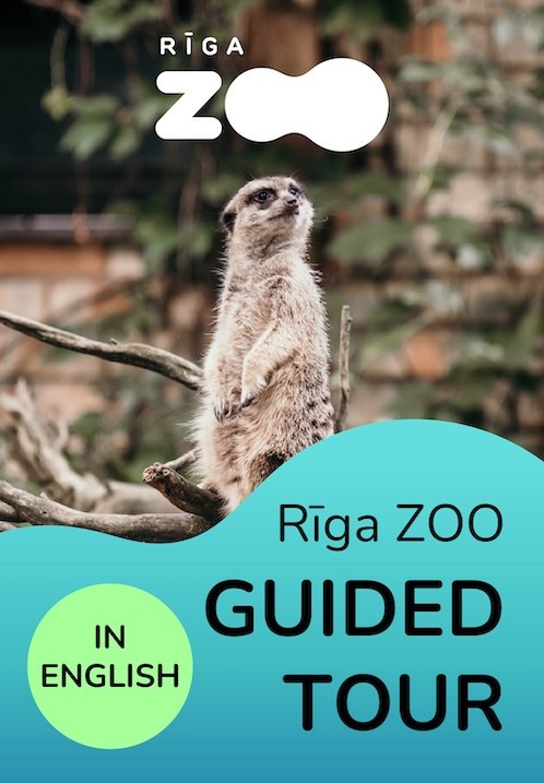 Pirkt biļetes Rīga ZOO Guided Tour in English Rīga, Rīgas Zooloģiskais dārzs Jūnijs 16